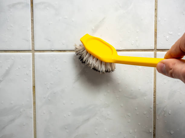 Professional Mold Removal in Soulsbyville, CA