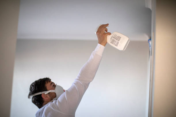 Best Mold Remediation  in Soulsbyville, CA