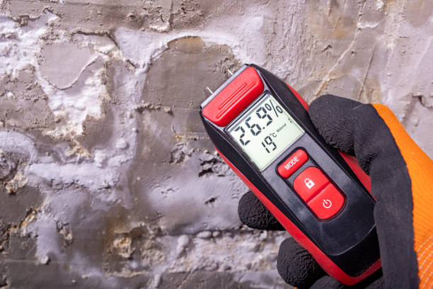 Best Commercial Mold Removal  in Soulsbyville, CA