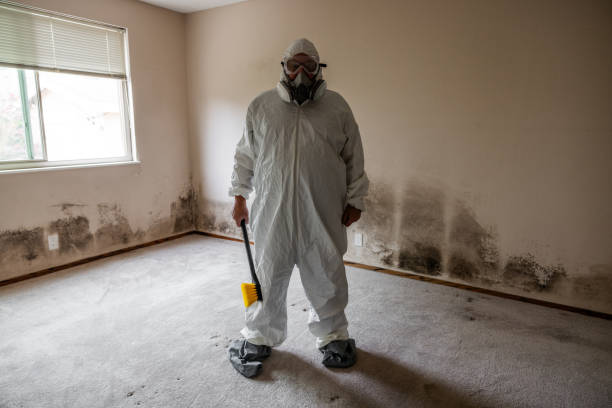 Soulsbyville, CA Mold Removal Company